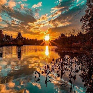 Meet your Posher, Chrissy